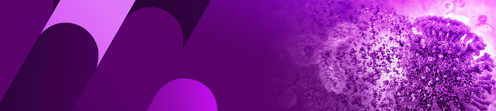 TurboCHO™ High Performance Platform