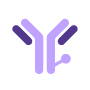 Antibody Modification