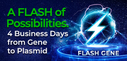 FLASH Gene