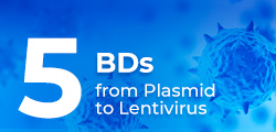 Lentivirus Packaging Service
