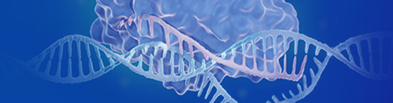 Protein Analysis