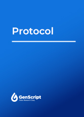 Base Editing Protocol for Jurkat cells with Thermo Fisher Scientific Neon™  NxT Electroporation System