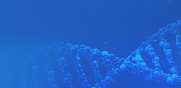  Assay Cell Line Development