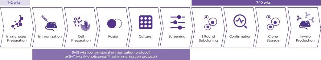 Standard Mouse mAb Development Package 