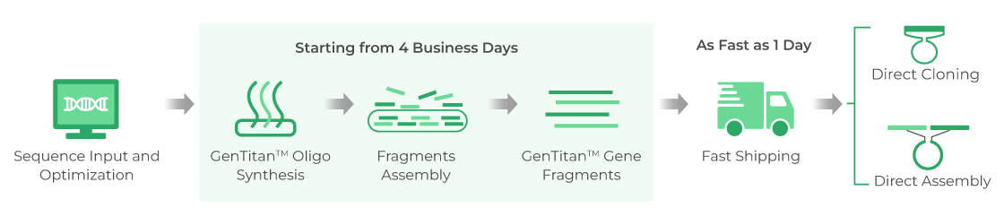 MSC Empowered Synthesis Workflow