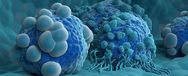 In Vitro Evaluation of CAR-TCR Expression