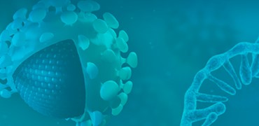 Custom mRNA