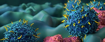 Target Receptor (CAR-TCR) Development