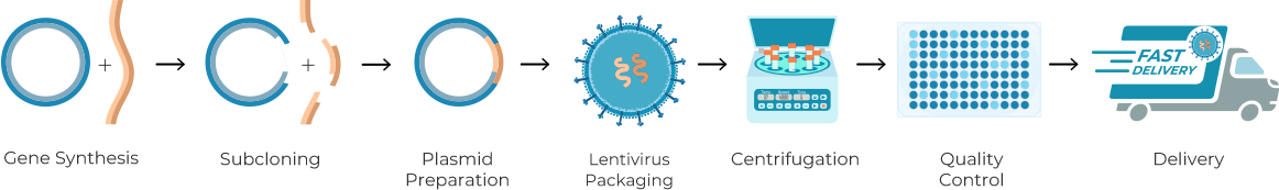 Seamless Delivery of Candidate Genes In Selected Lentivirus Workflow