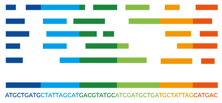 Next-Generation Sequencing (NGS)