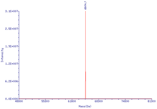 218nt chemosynthetic DNA oligo, HPLC purification